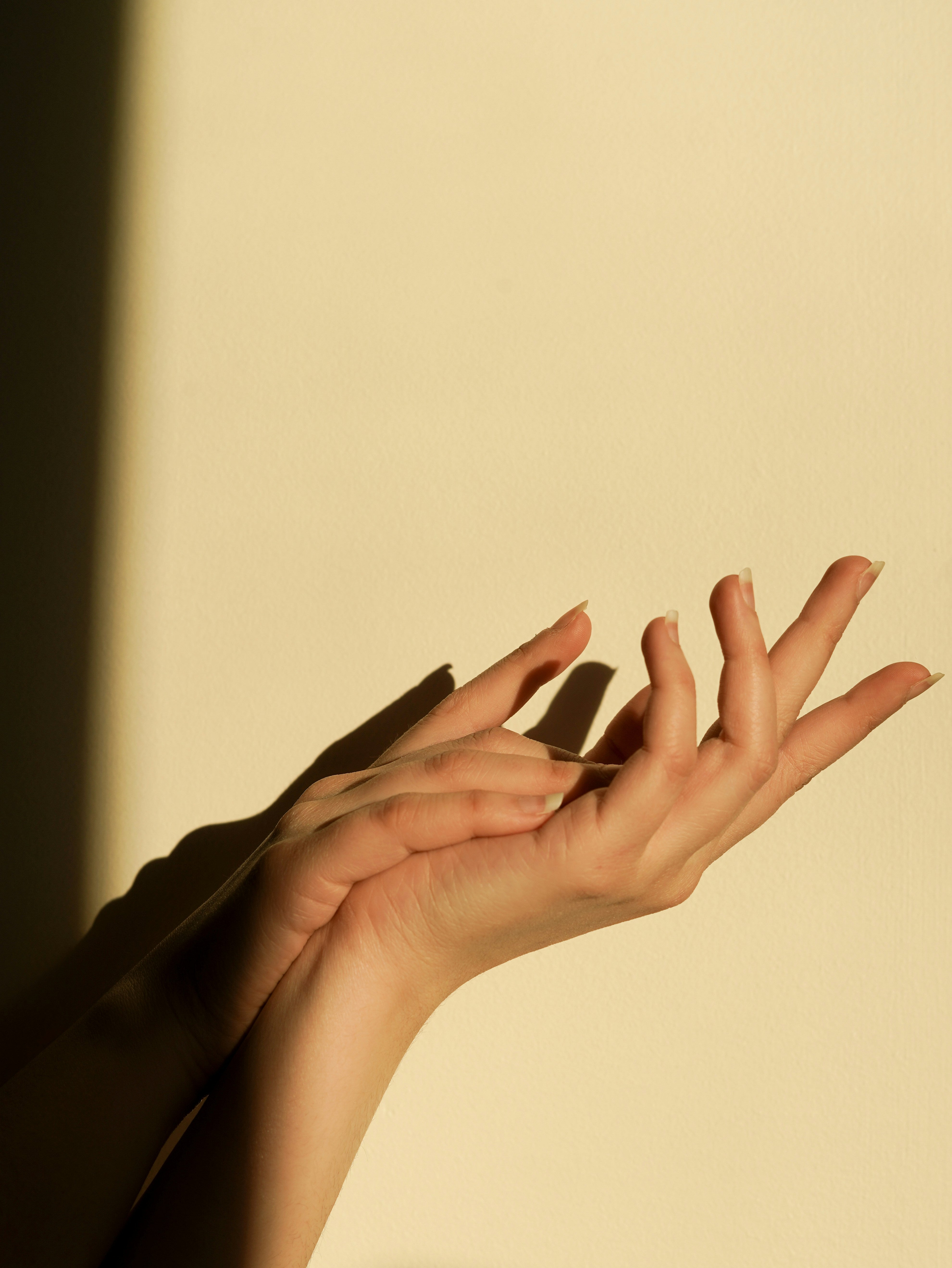 lumiere-rezaie-HKqTFsaVCV0-unsplash.jpg