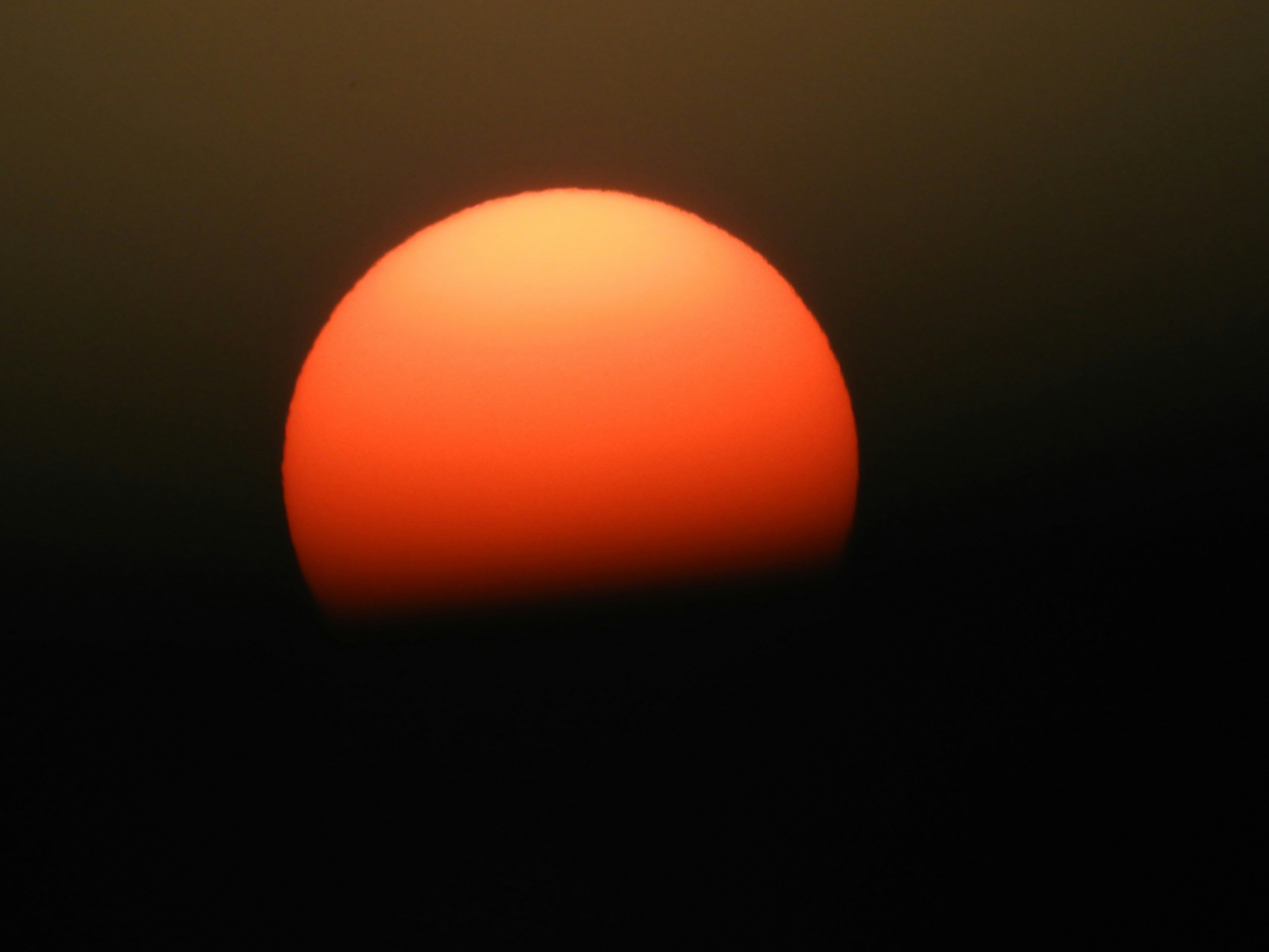 mansi-gujarathi-QTywKjwS_7M-unsplash.jpg